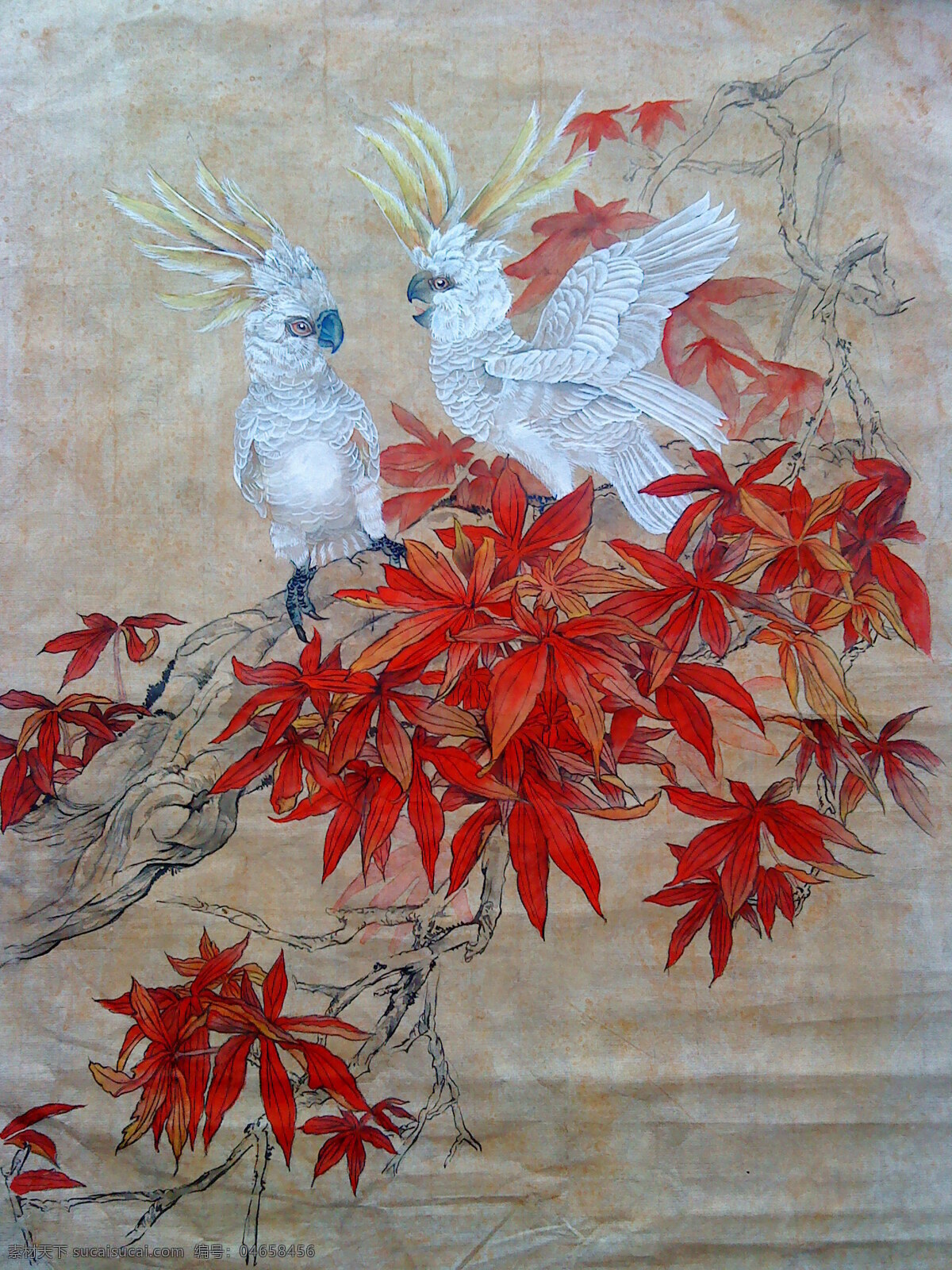 鹦鹉 工笔画 红叶 枫叶 绘画书法 文化艺术