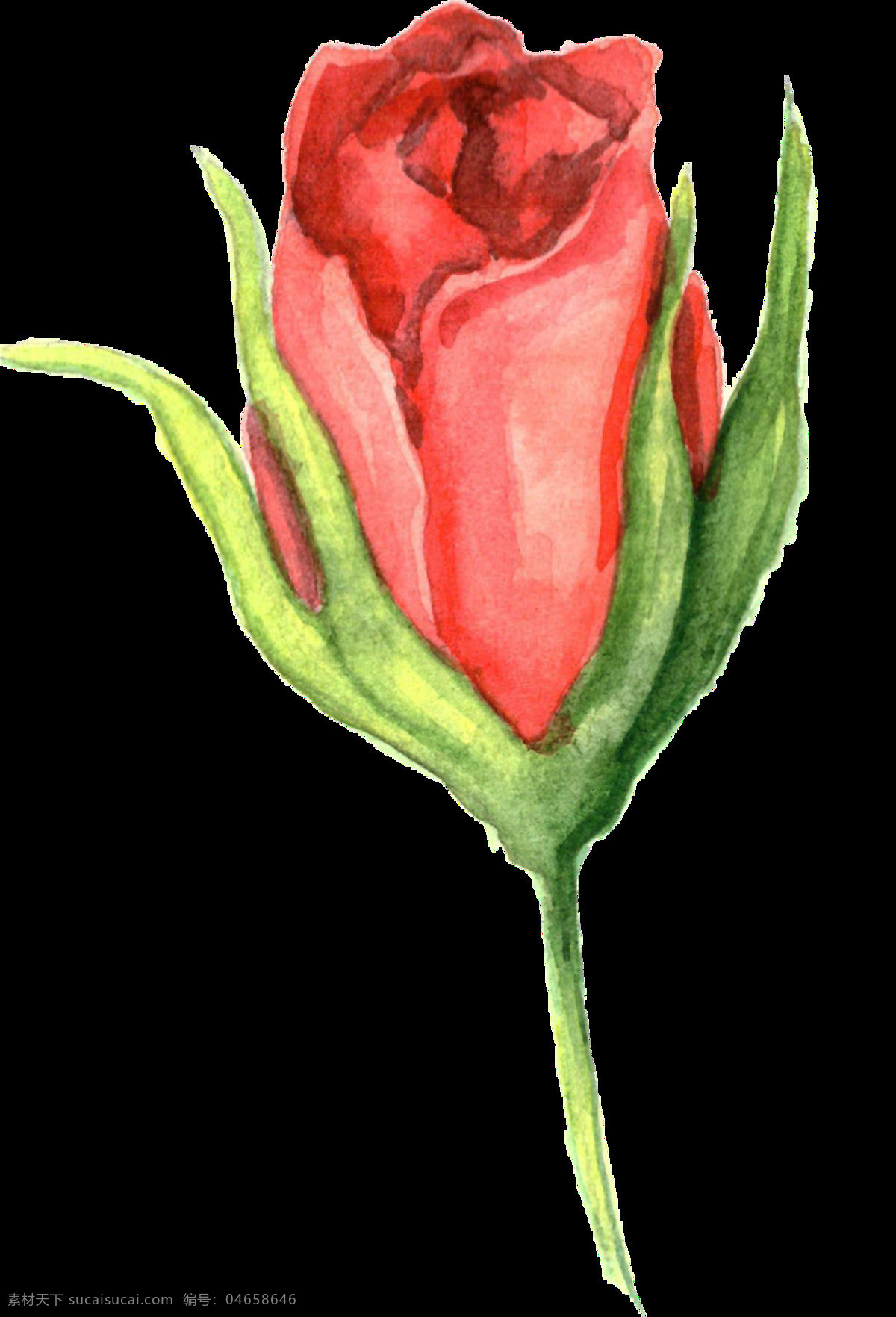红心 玫瑰 卡通 透明 枝叶 植物 透明素材 免扣素材 装饰图案