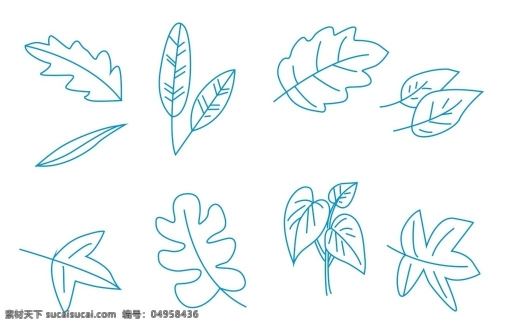 树叶简笔画 简笔画 植物简笔画 树叶 叶子 植物 矢量素材 简图