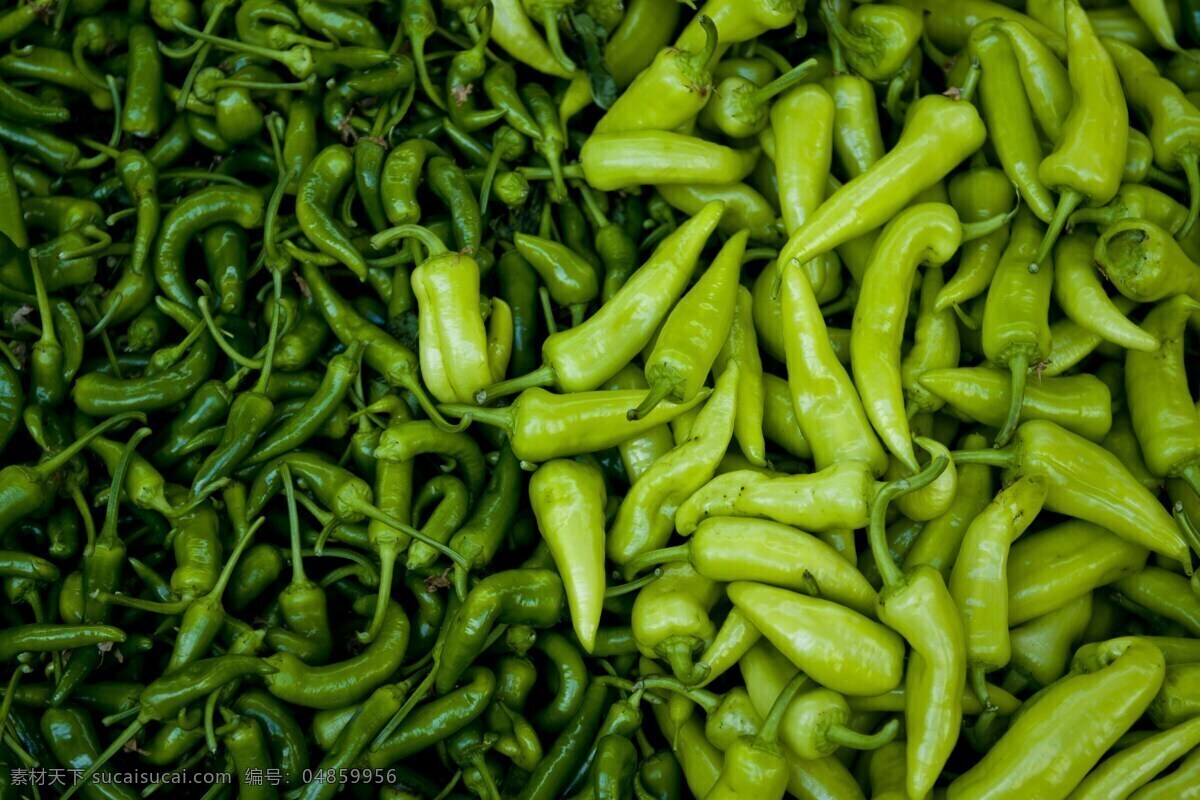 新鲜辣椒 农民市场 绿色 红色 农业 蔬菜 调料