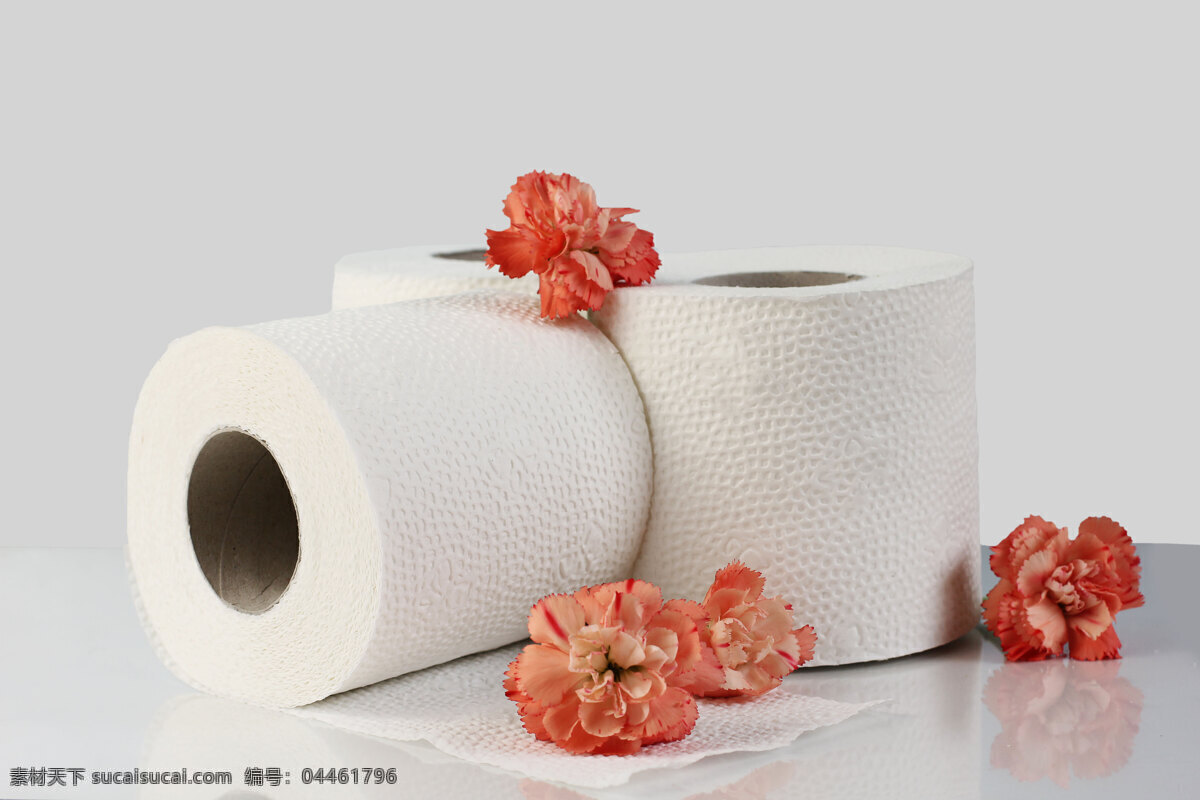 鲜花 卷 纸 鲜花与卷纸 花朵 卫生纸 卷筒纸 日用品 生活用品 生活百科