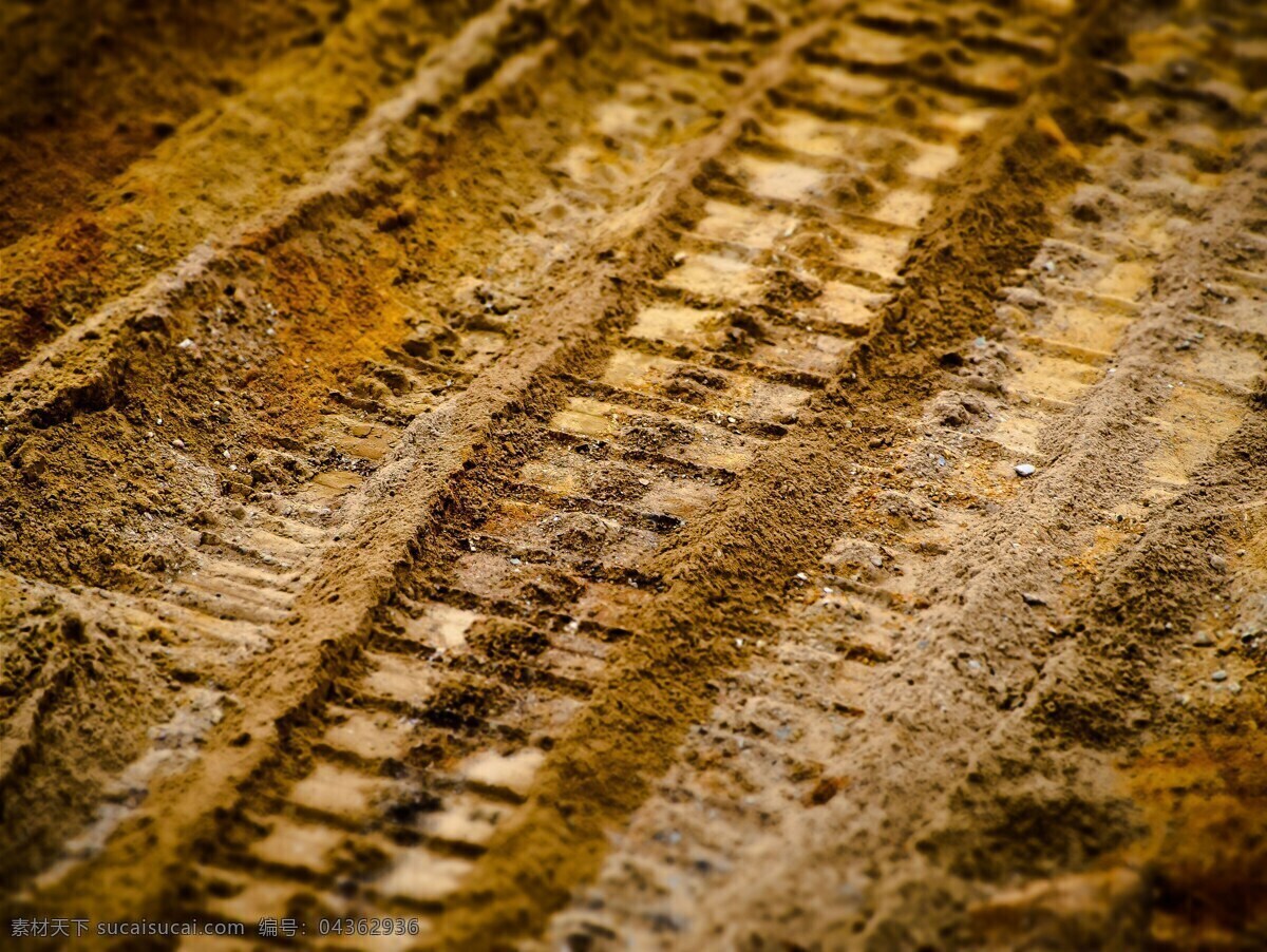 沙 痕迹 沙子 里 轮胎痕迹 棕色