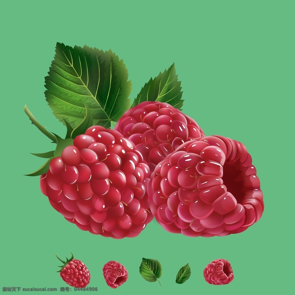 蔓越莓 矢量水果 梅 水果 矢量 水果矢量 生物世界