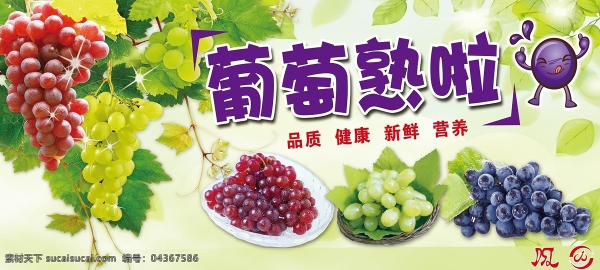 葡萄节 超市 海报 超市海报 水果 超市异形元素 提子 超市活动方案