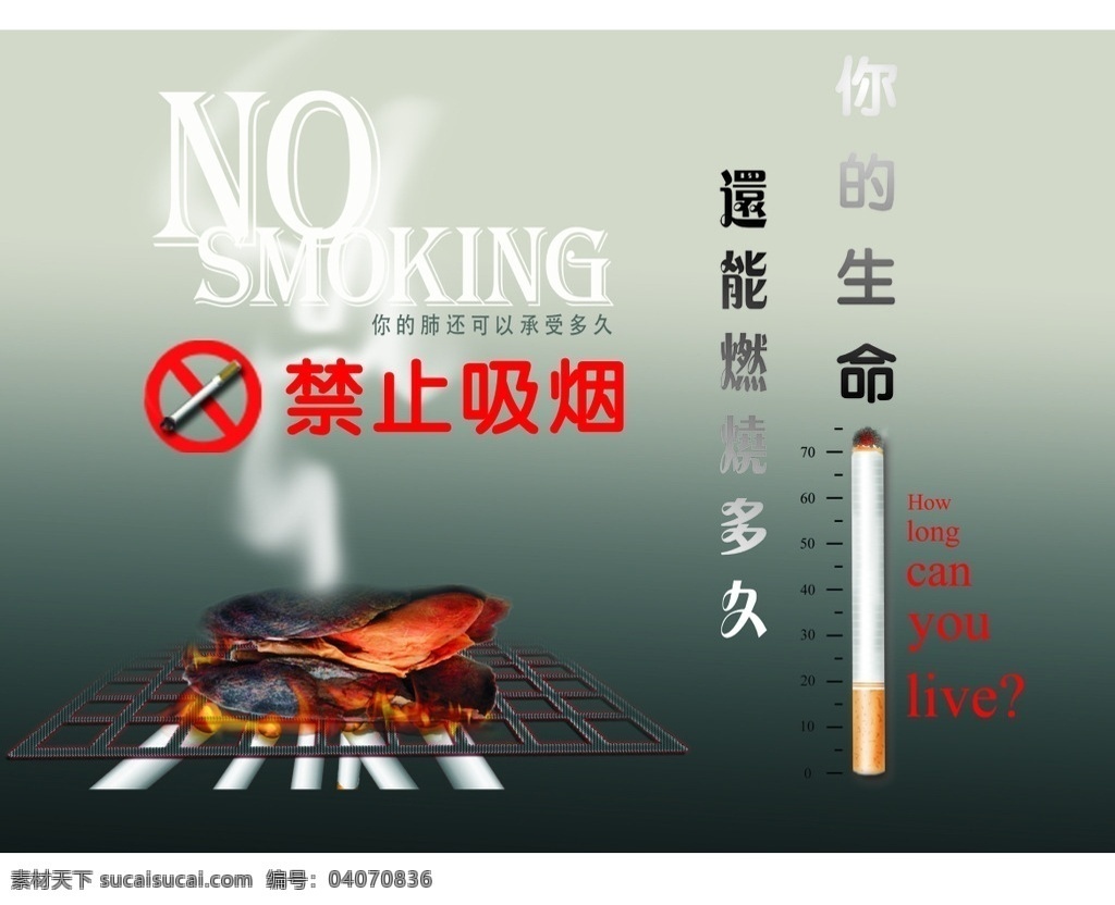禁止吸烟 吸烟有害健康 严谨吸烟 请勿吸烟 远离毒品