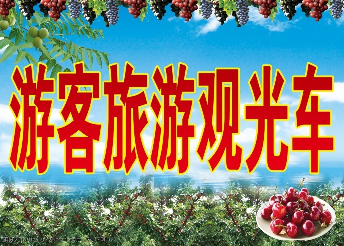 游客 旅游 观光车 蓝天 农场 樱桃 葡萄 海报 展板 分层