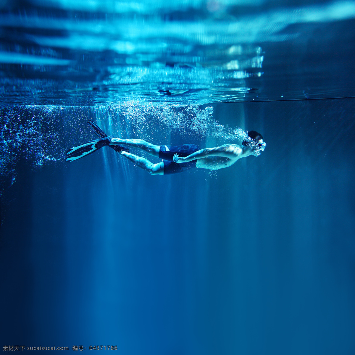 潜水 游泳 运动员 男子 体育运动员 体育运动 体育运动项目 生活百科