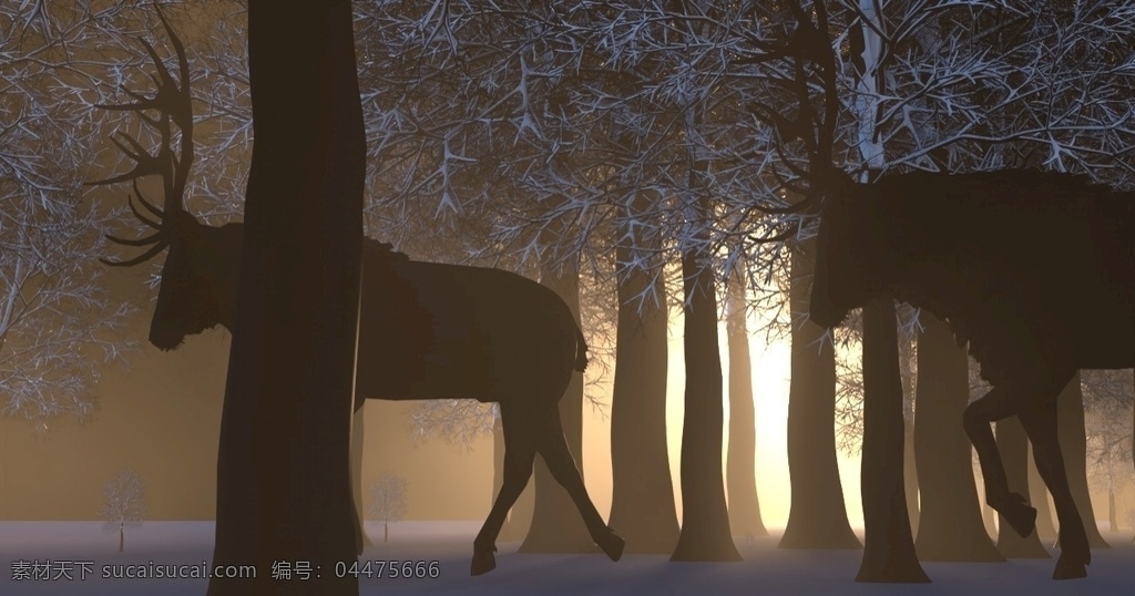 冬季 森林 里 鹿 雪地 清晨 麋鹿 雪景 3d设计 c4d
