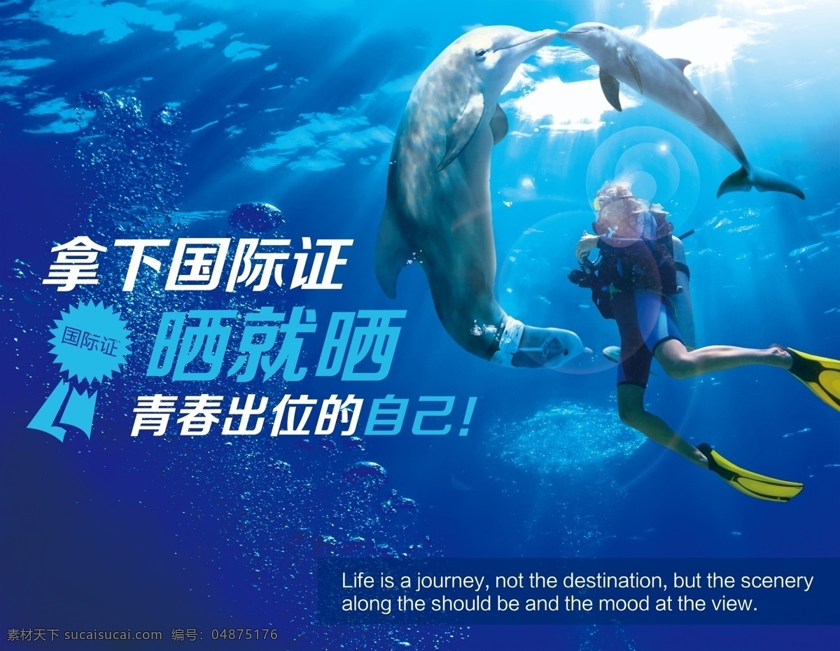 潜水海报 潜水 海洋 海豚 潜水员 海底 探险 青春 晒照 光晕 徽章 蓝色