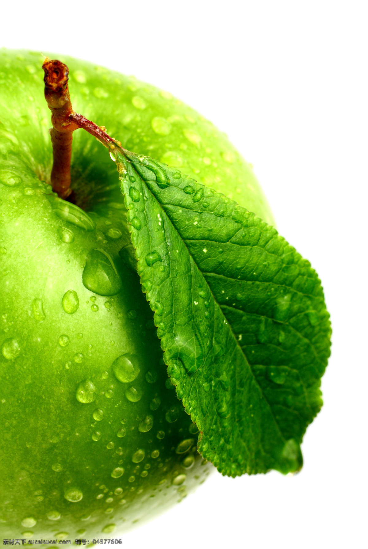 带 绿叶 新鲜 苹果 绿色 水珠 水果 高清图片 苹果图片 餐饮美食