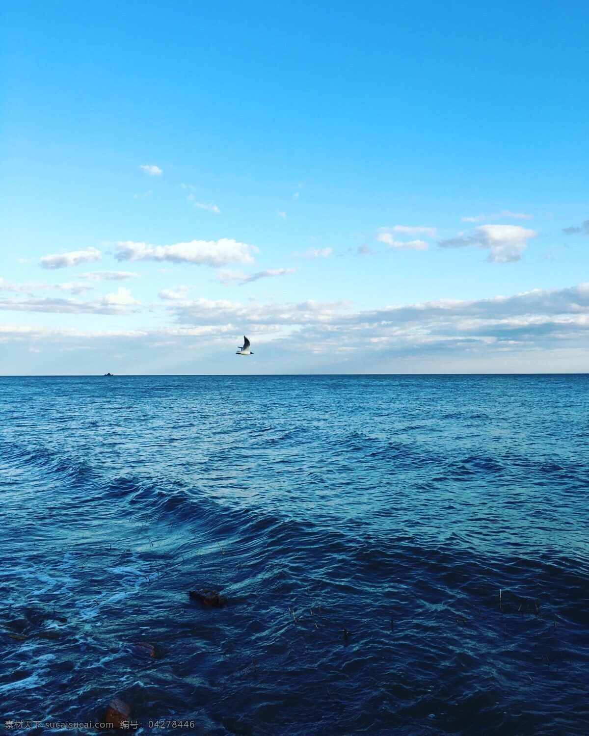 唯美 蓝色 大海 风景图片 海鸥 蓝天 白云 天空