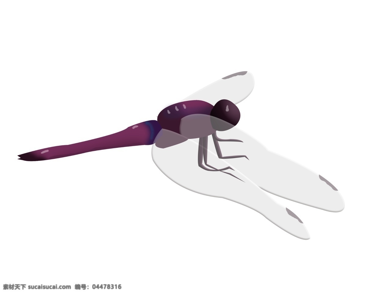 可爱 创意 蜻蜓 插画 透明 翅膀 身体