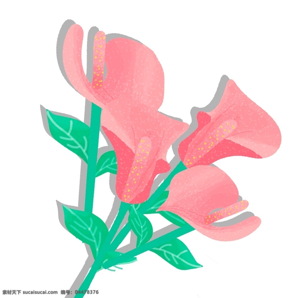 手绘 红掌 植物 花卉 唯美 插画元素 叶子