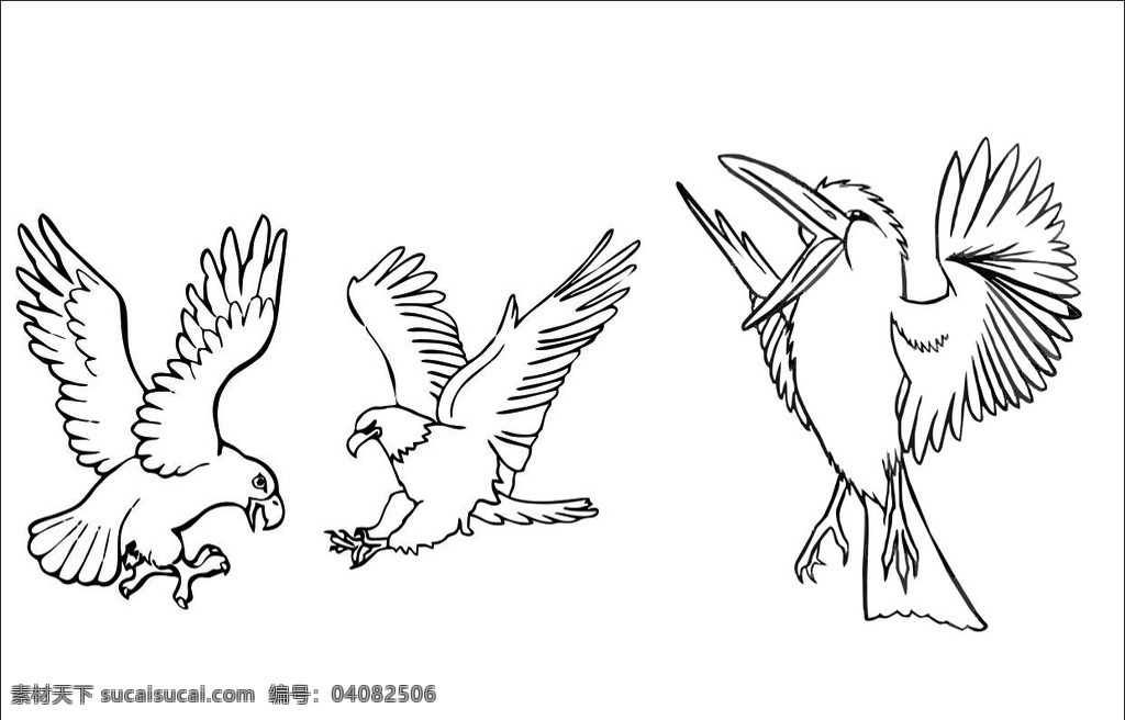 鸟 卡通 动物 线条 矢量 可填色 文化艺术 绘画书法