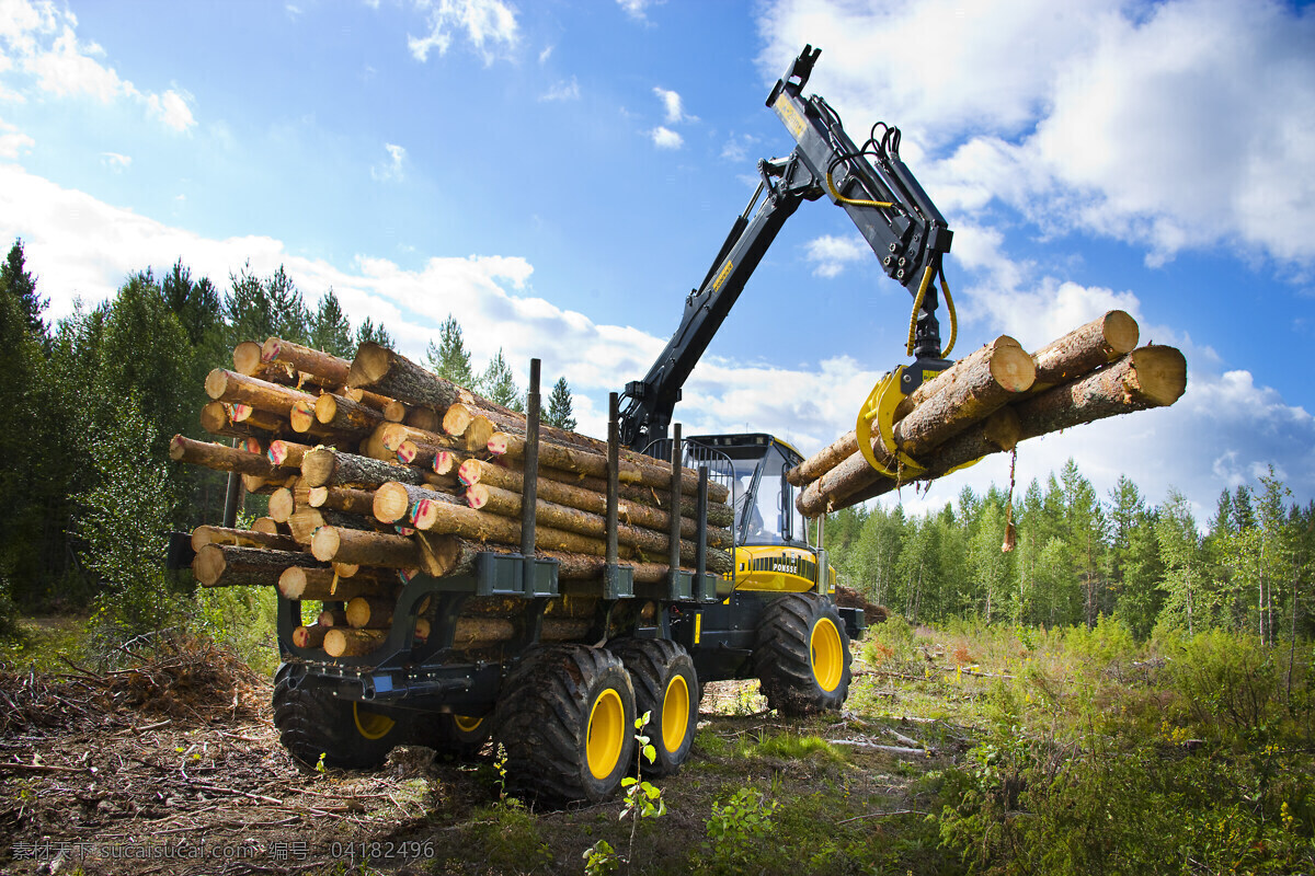货车搬运 货车 运货 木料 吊机 起重机 机械臂 山林 树林 天空 原木 树杆 木材 机械 工业生产 现代科技