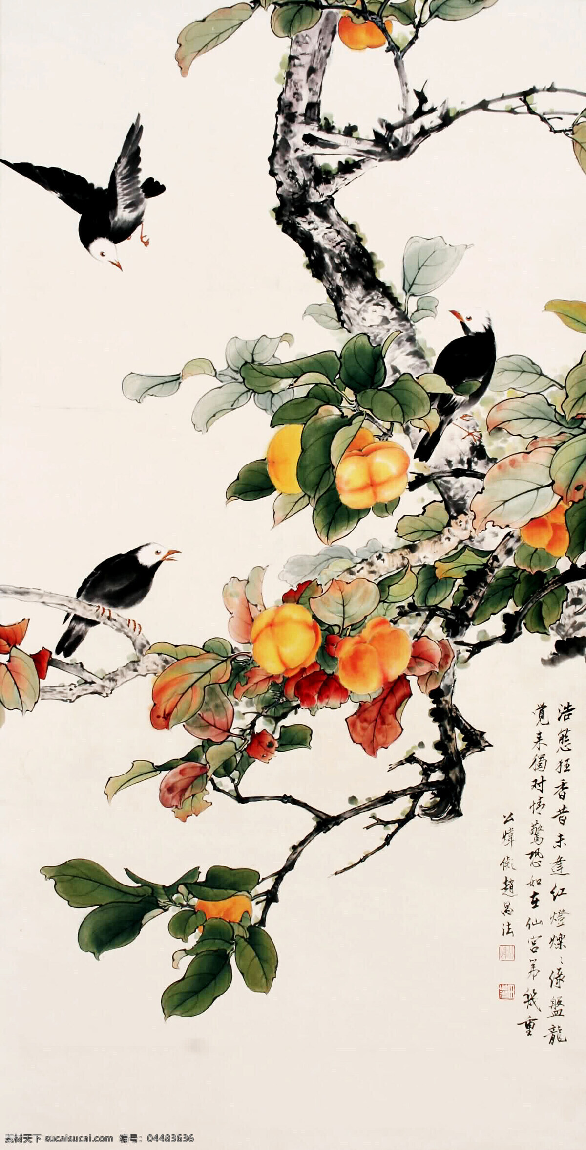 花鸟图 画 中国画 花鸟画 植物画 现代国画 植物 树木 果树 果实 红果 鸟 白头鸟 叶子 国画艺术 书法 印章 国画集3 绘画书法 文化艺术