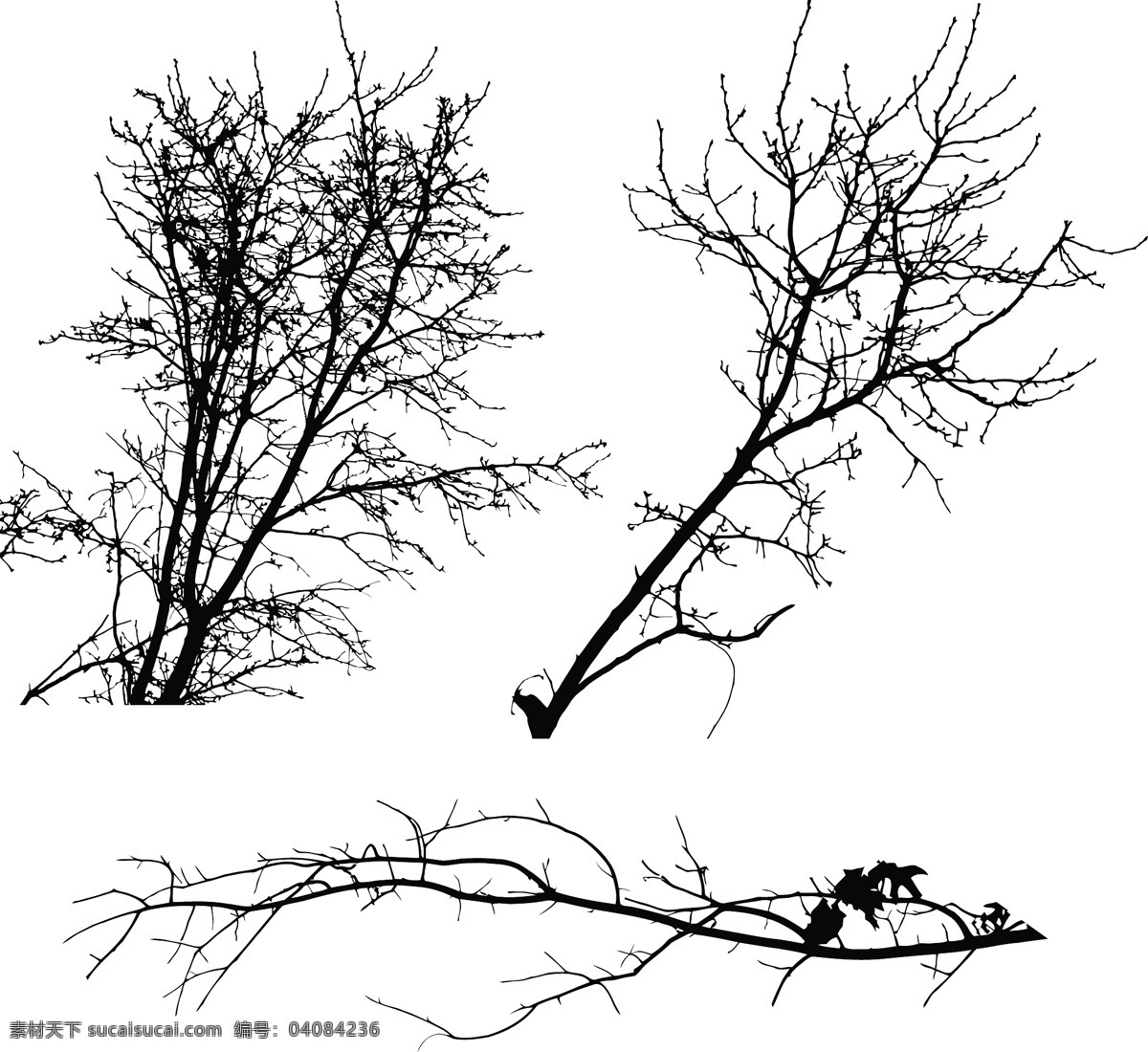 枯枝 剪影 矢量 树 分支 矢量图 日常生活