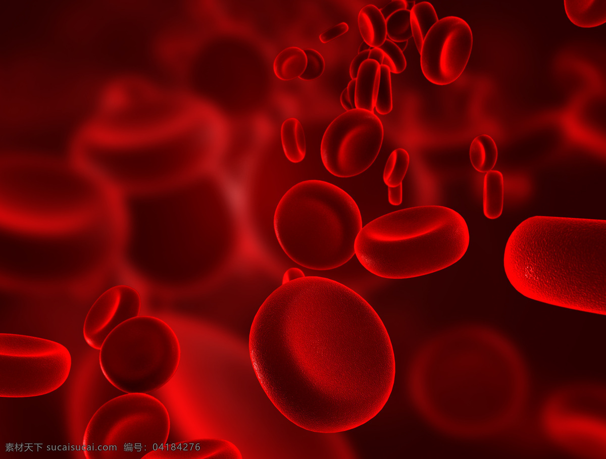 血液 里 血小板 红细胞 细胞 身体细胞 生物 医疗护理 现代科技