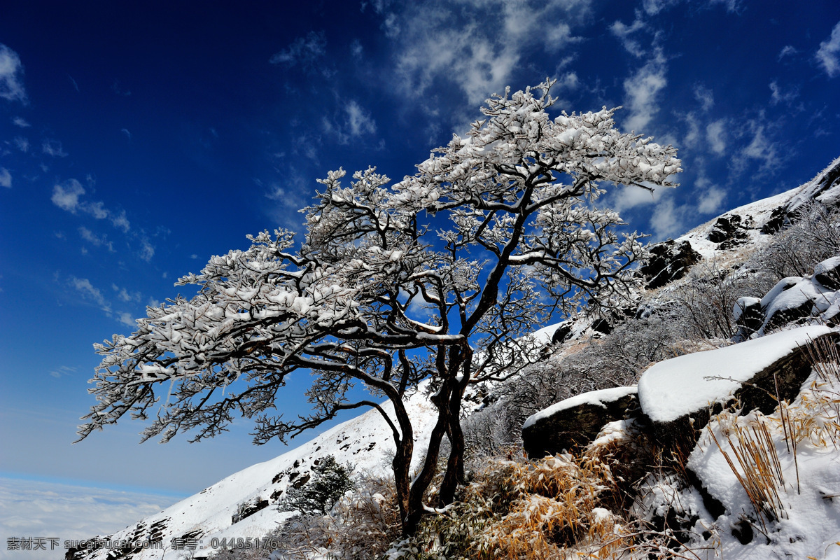 唯美 风景 风光 旅行 江西 山 武功山 自然 雪景 雪 旅游摄影 国内旅游 蓝色
