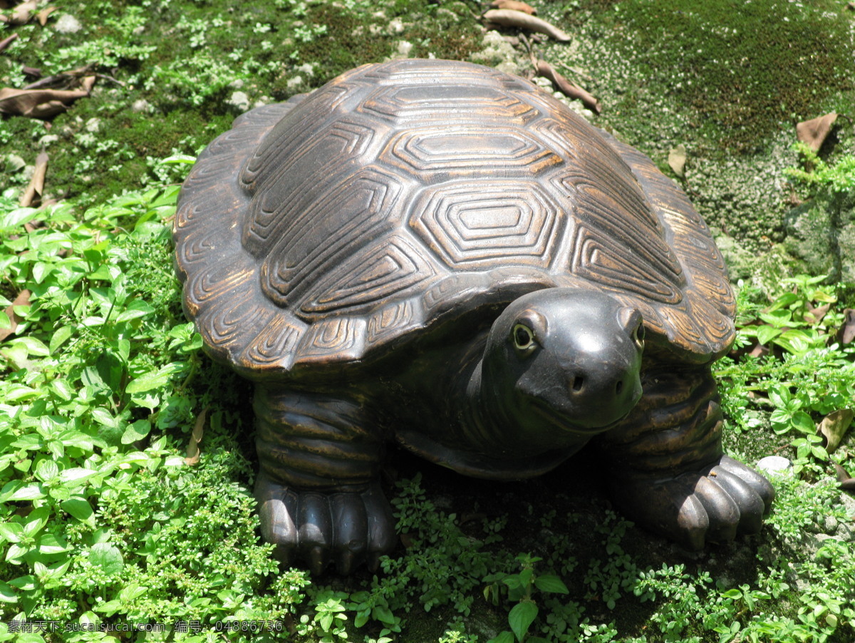 铜乌龟 铜龟 铜制乌龟 铜雕乌龟 摄影图库 国内旅游 旅游摄影