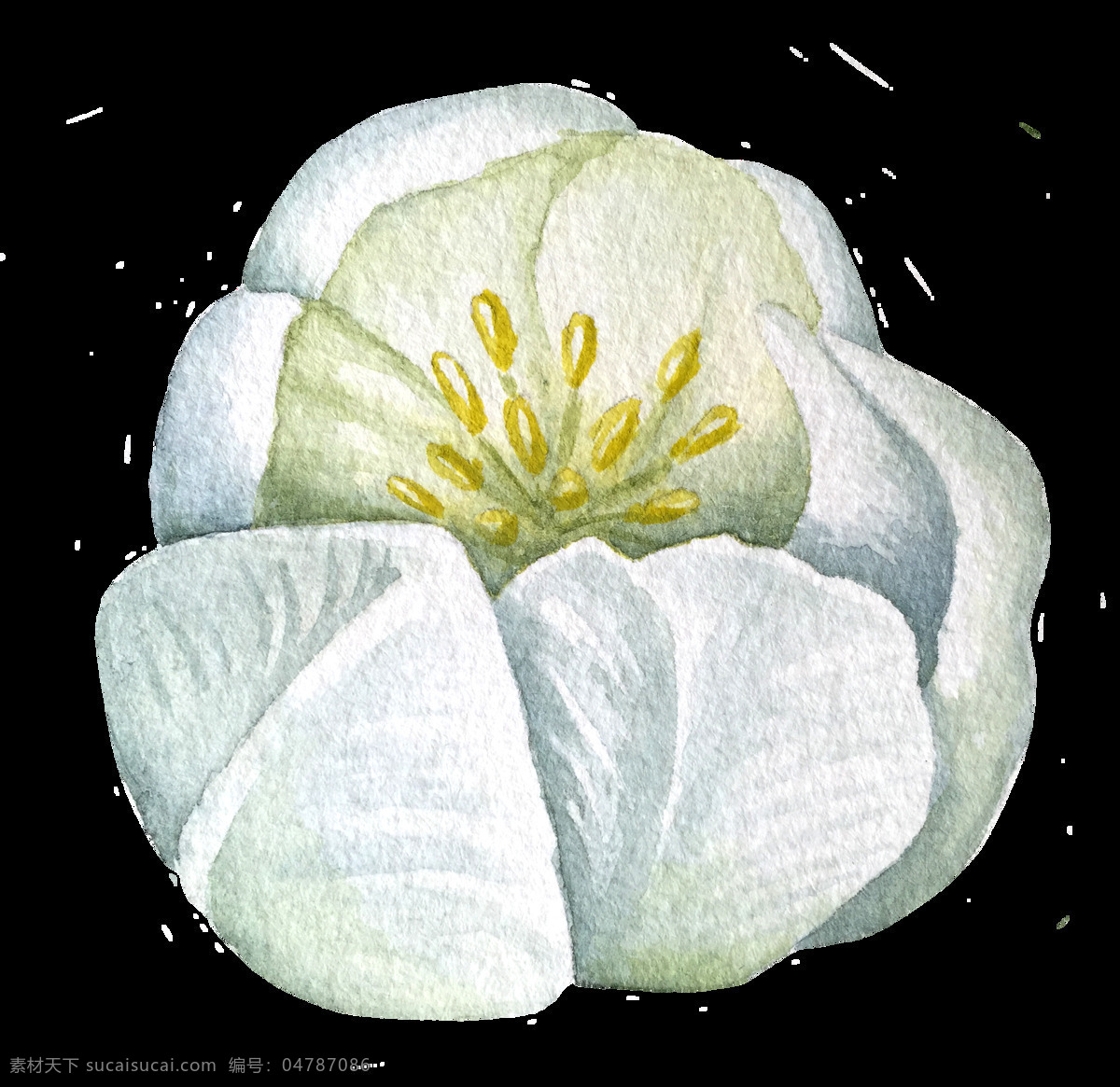 淡雅 花卉 卡通 透明 抠图专用 装饰 设计素材