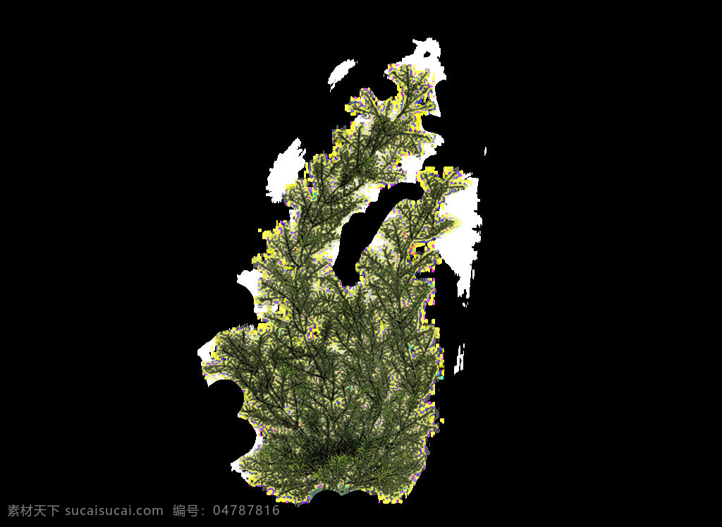 颗 绿色 小树 免 抠 透明 图 层 一颗绿色小树 树叶图片 美丽植物图片 植物 大全 大图 唯美 小 清新 手绘植物图片 花卉图片 背景图片 品种 名称