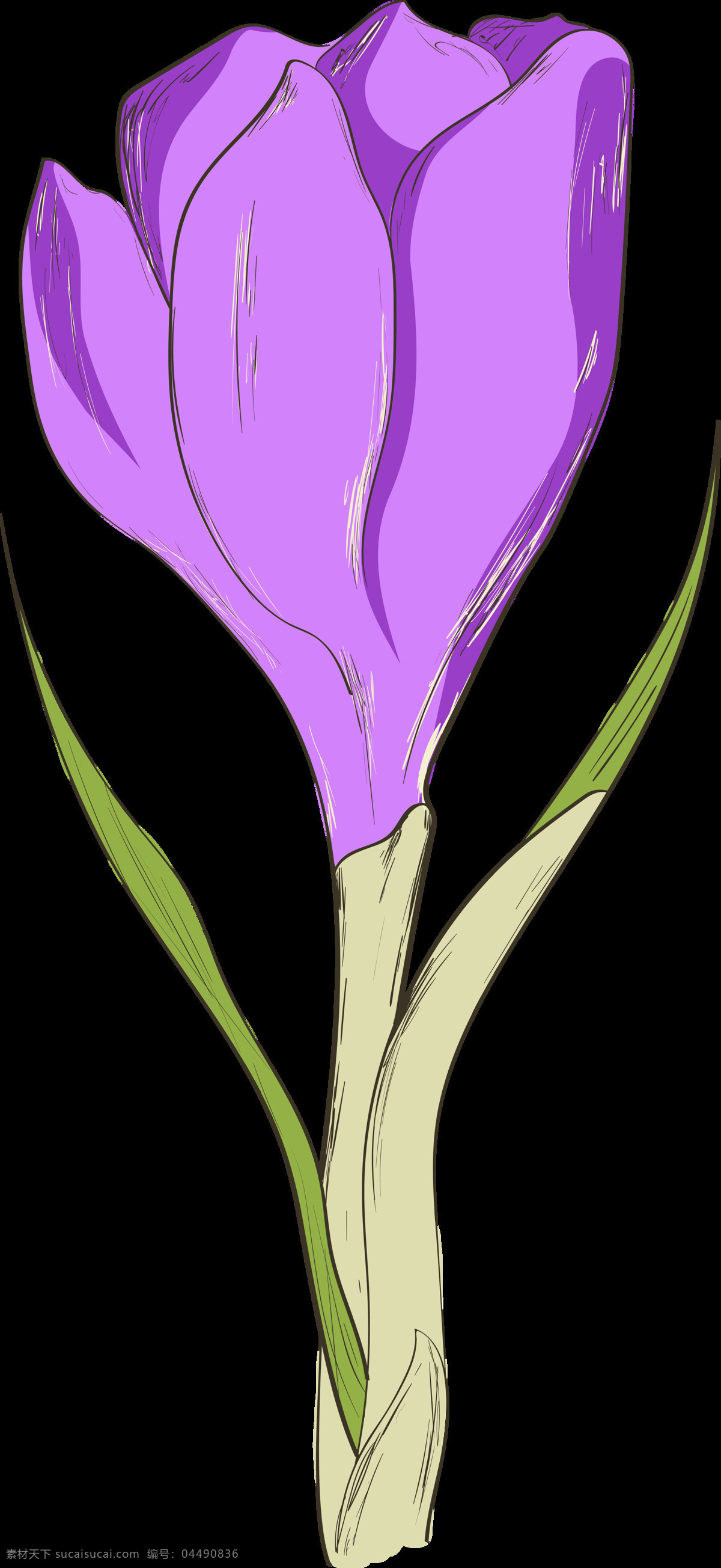手绘 朵 紫色 花苞 透明 花朵 绿叶 平面素材 设计素材 矢量素材 水彩 植物