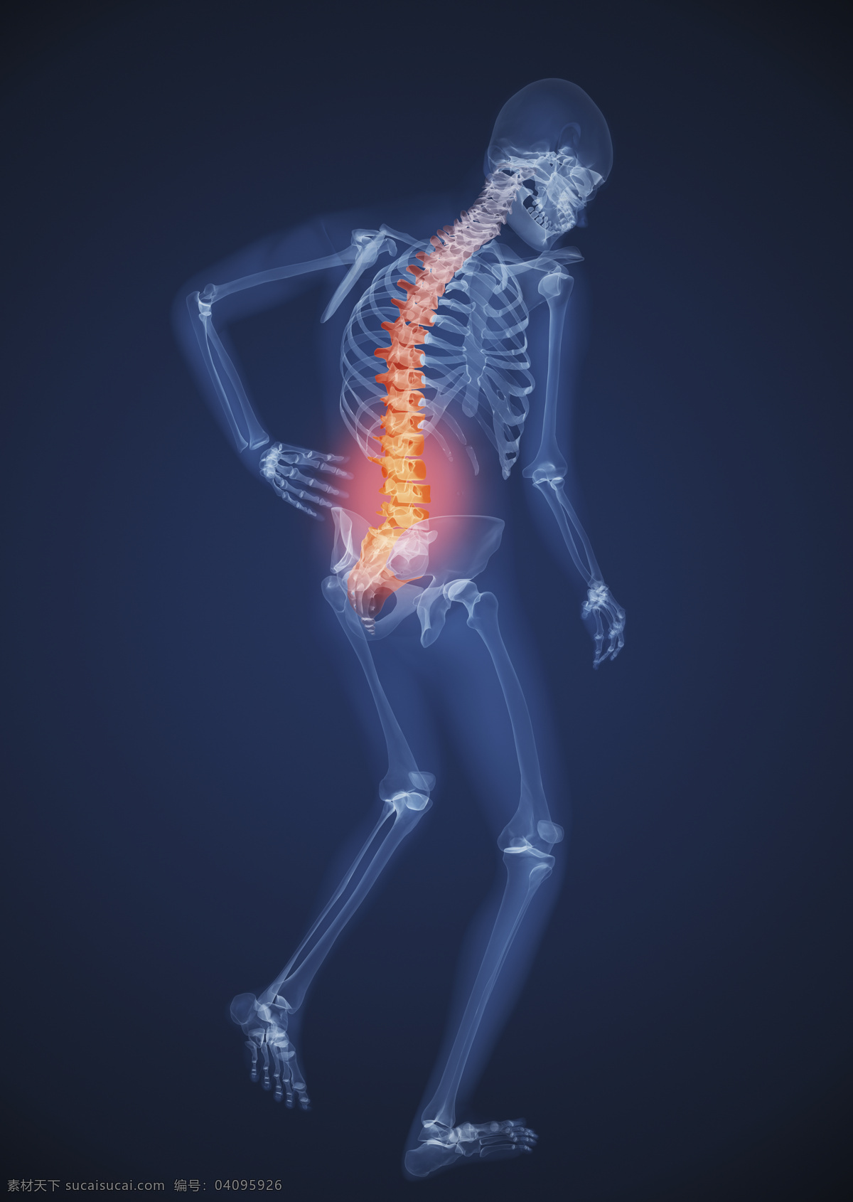 唯美 3d 立体 骨痛 人体骨骼 骨头疼痛 人体透视图 3d设计