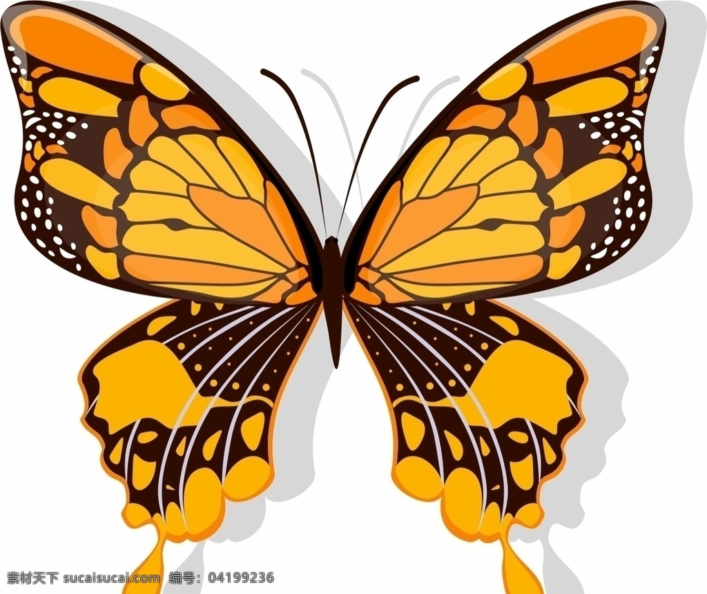 蝴蝶 矢量图片 矢量 昆虫 矢量素材 矢量蝴蝶 矢量素材动物