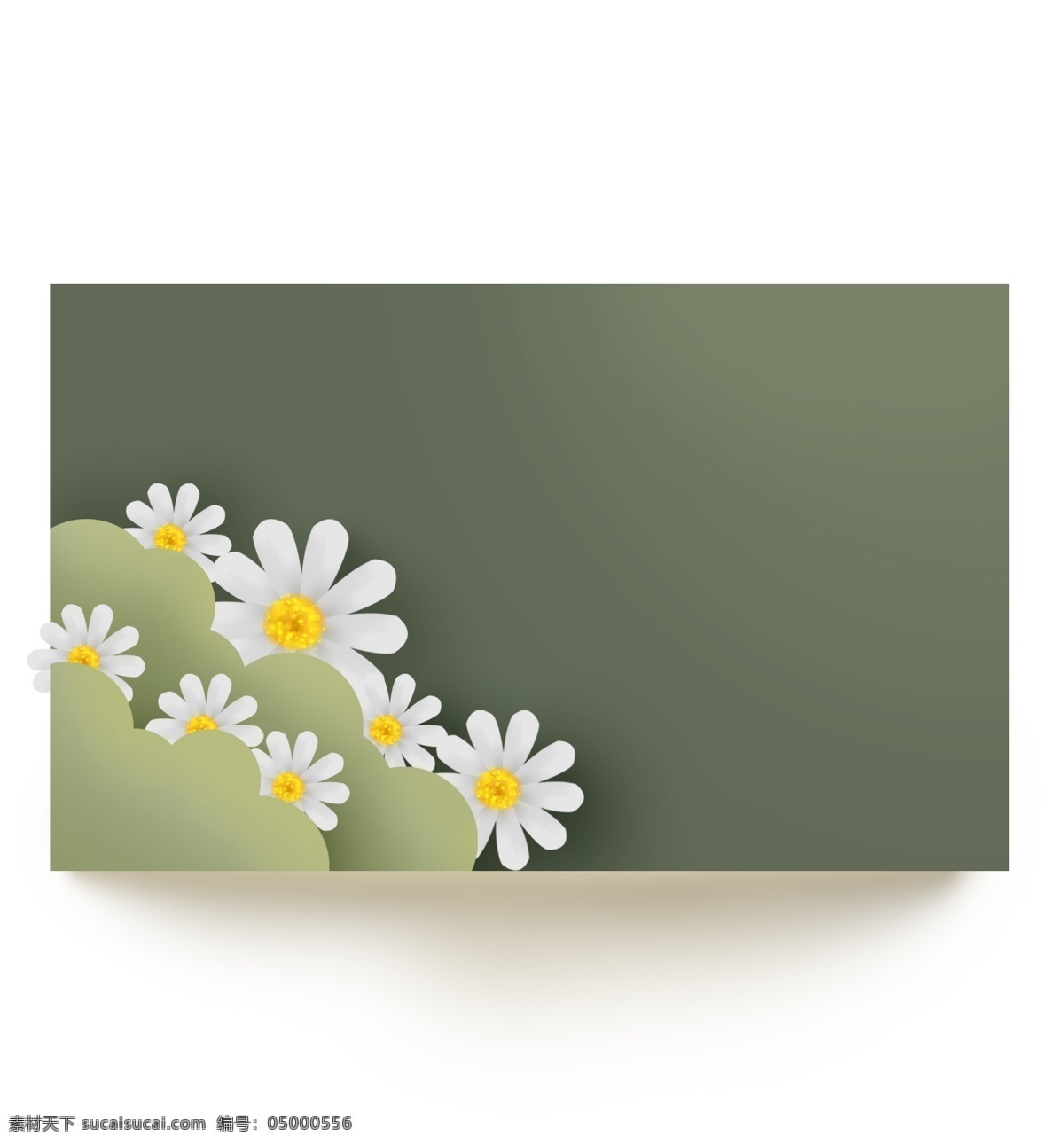 绿色 立体 菊花 提示 框 母菊 菊花对话框 春天文字框 春季 文字 植物 叶子 春天标题框 花朵 留言本