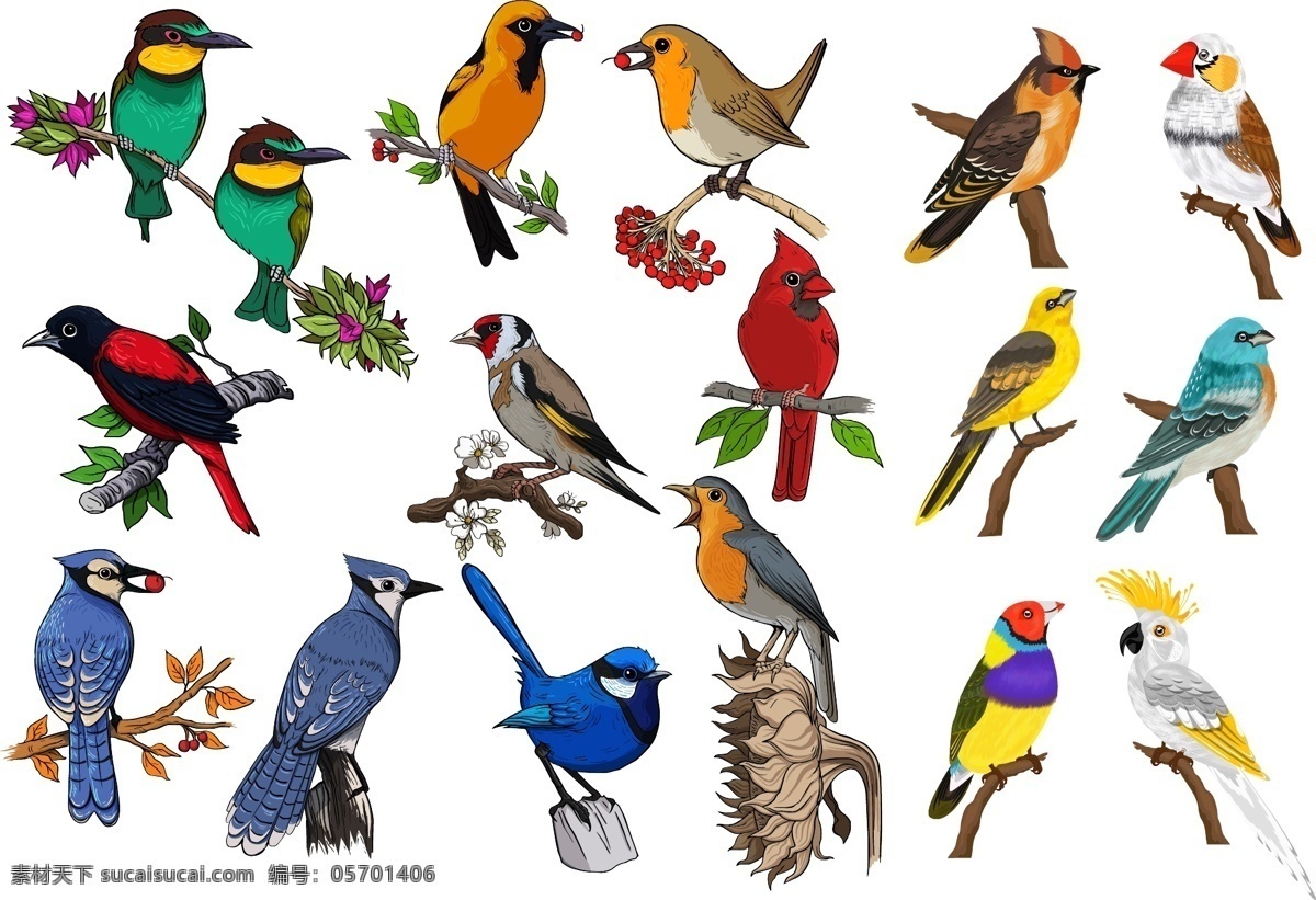 鸟类矢量素材 鸟类矢量 鸟类素材 鸟类 小鸟 飞禽 鸟 共享设计矢量 生物世界