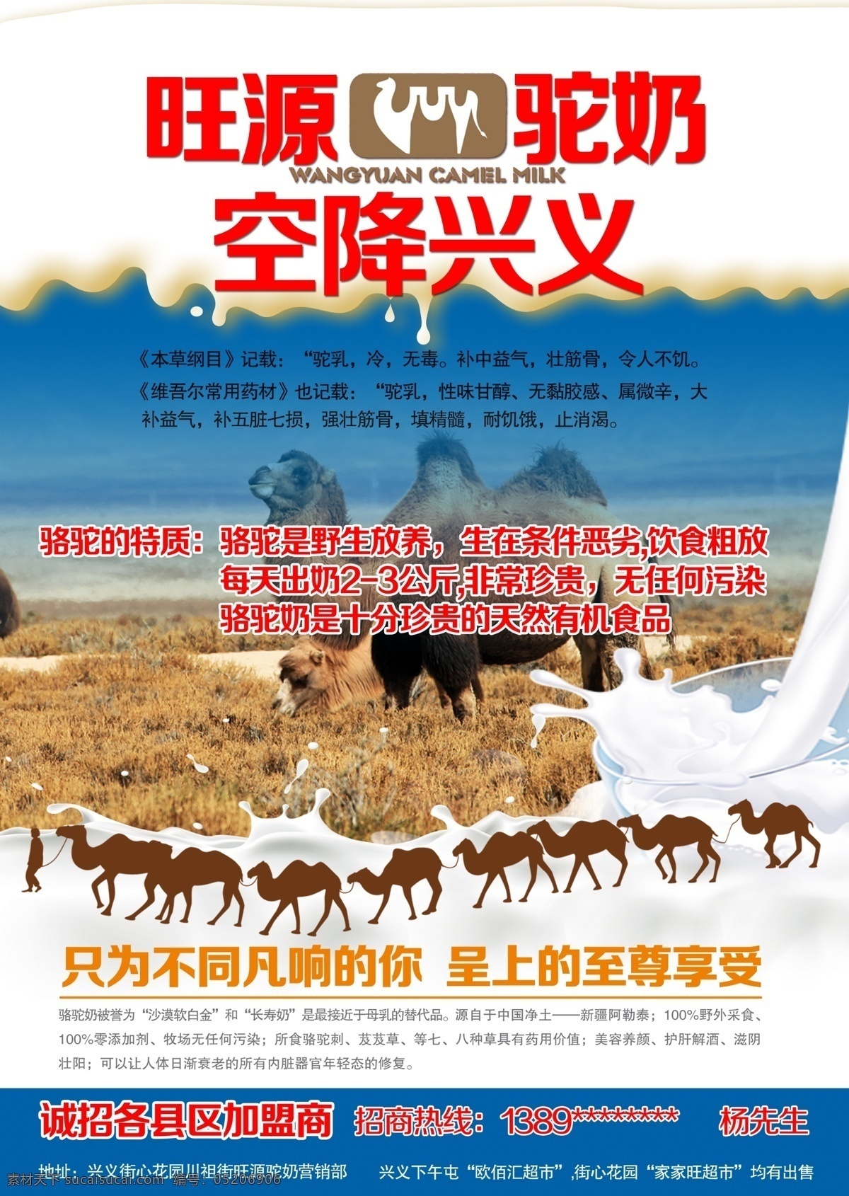 a4dm 广告 宣传单 旺 源 驼 奶 模板 骆驼海报宣传 原创海报 原创设计