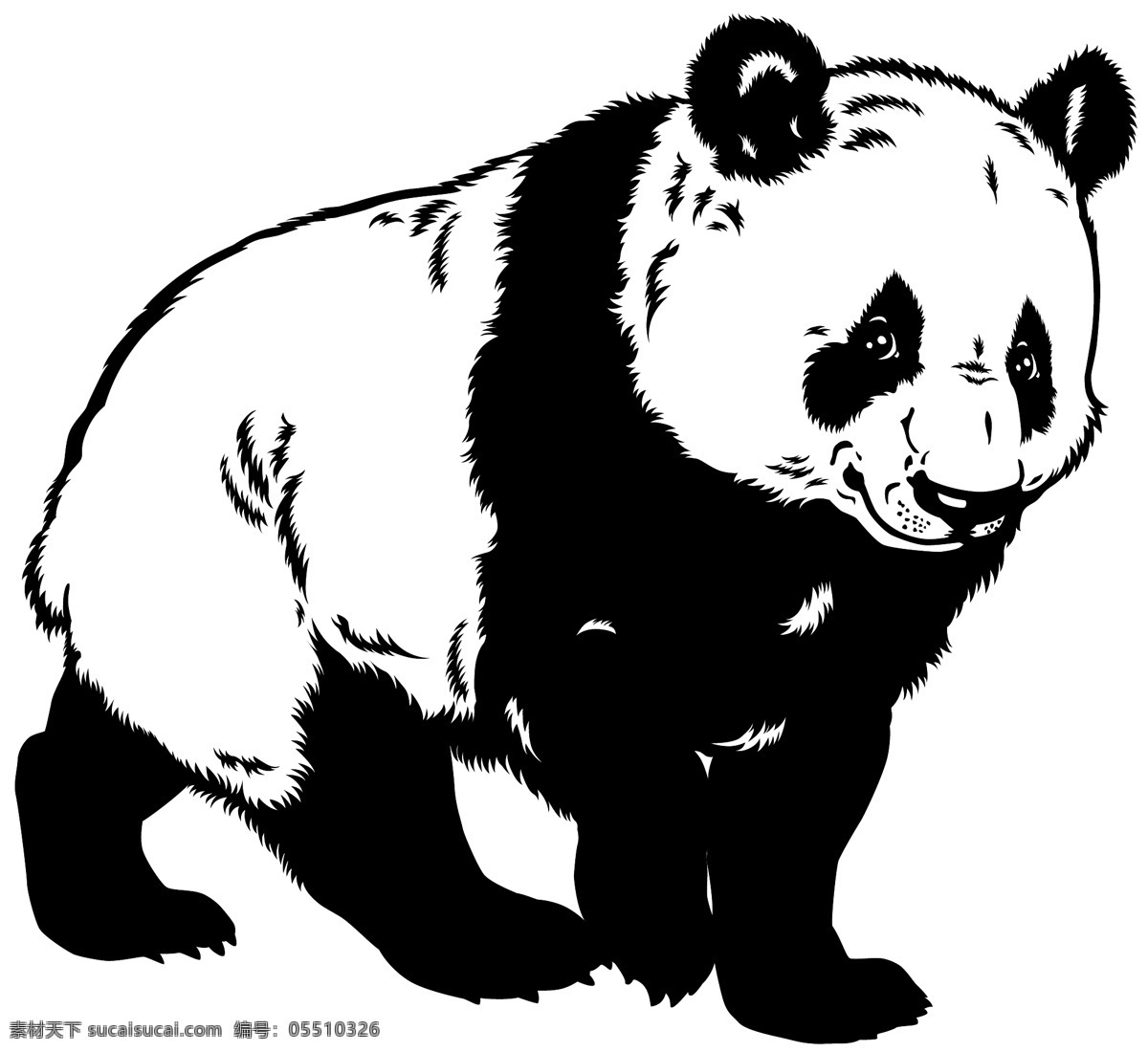 可爱的大熊猫 动物 国宝 可爱 大熊猫 白色