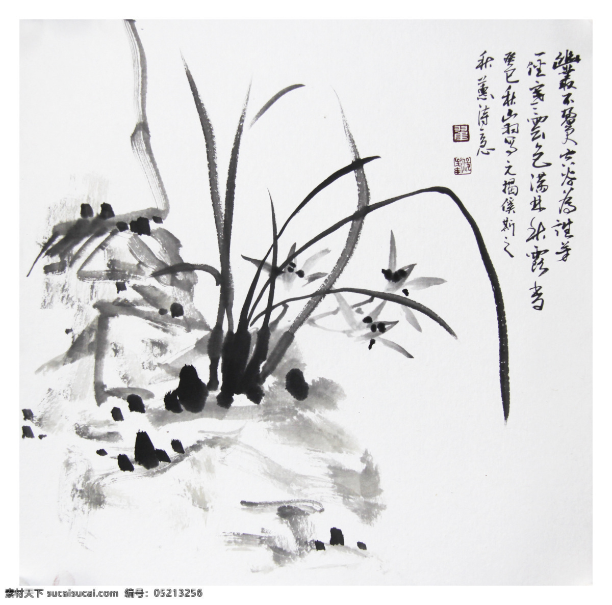 兰花 画 翟俊峰 山羽 国画 绘画书法 文化艺术