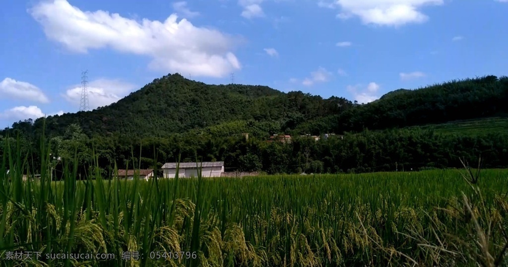 路边 乡村 田野 延时摄影 山川 水稻 蓝天白云 多媒体 实拍视频 自然风光 mp4