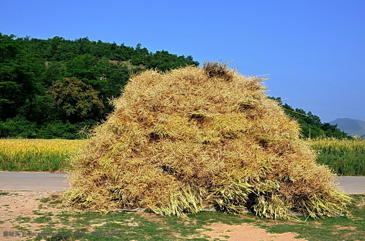 收获 现代科技 山体 油菜垛 农业生产 矢量图 日常生活