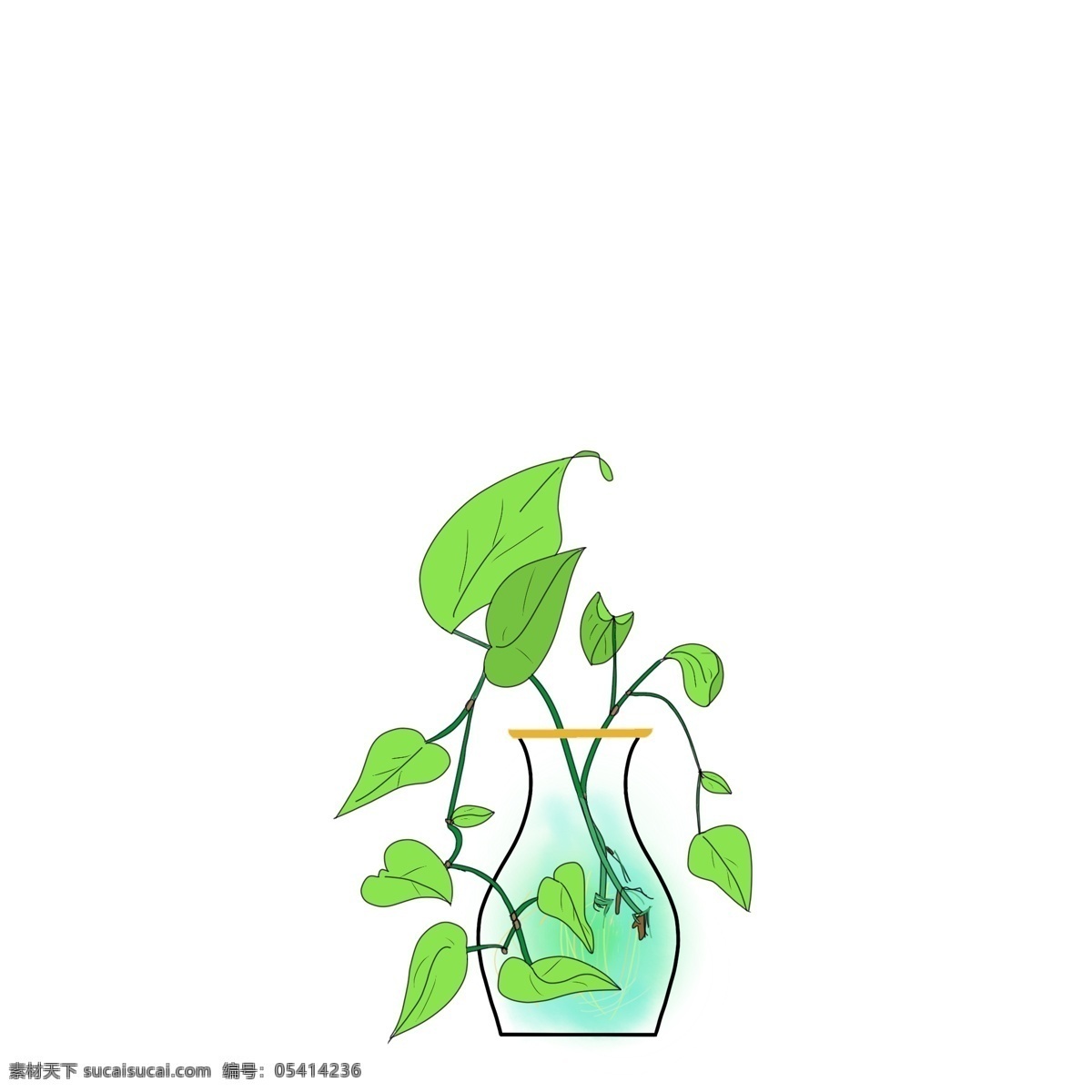 原创 花瓶 水培 绿 萝 植物 手绘 风 简约 小 清新 元素 绿萝 水 绿色 春天 小清新 简单 绿意 窗台植物 办公室植物 根系 家庭培养植物