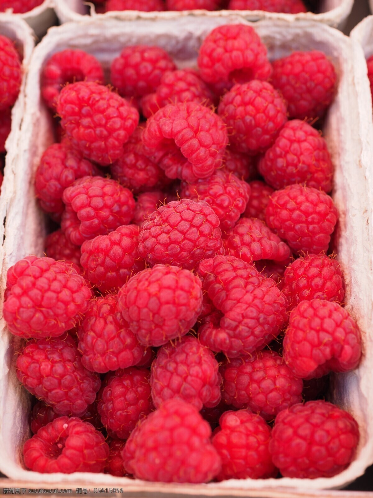 维生素浆果 山莓 浆果 水果 红色 维生素 甜 美味 健康