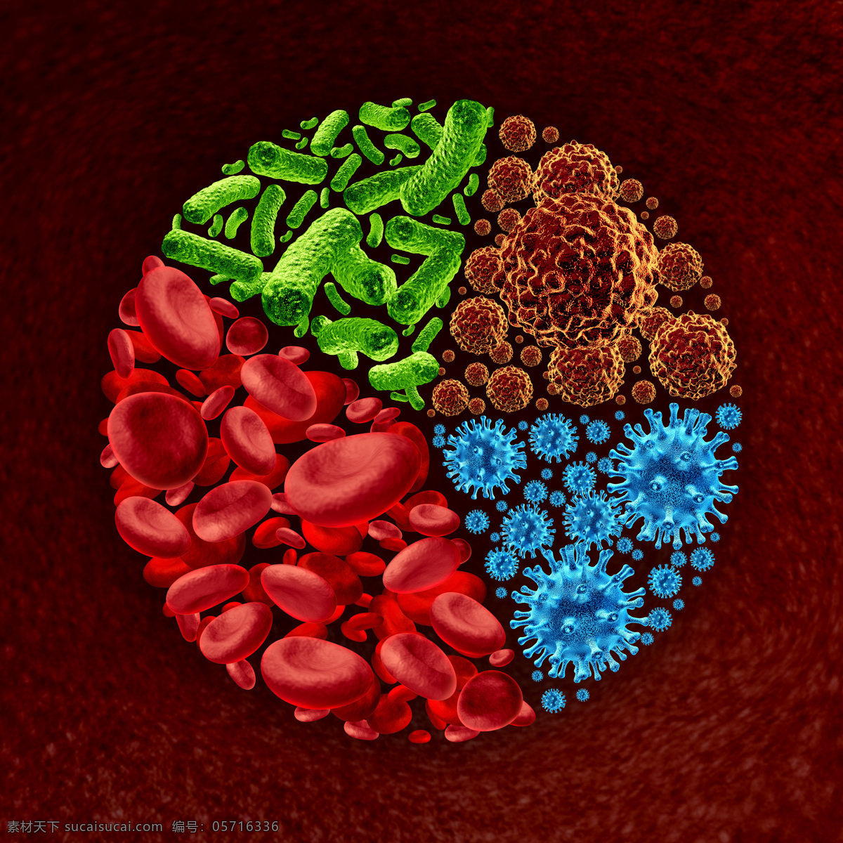 细菌 病菌 血小板 红细胞 超级病菌 细胞 身体细胞 生物 医疗护理 现代科技