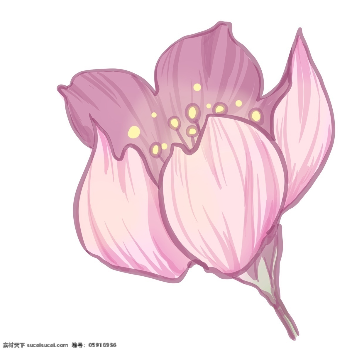 漂亮 粉色 樱花 插画 樱花朵朵开 漂亮的樱花 花朵 植物 花卉 粉色樱花