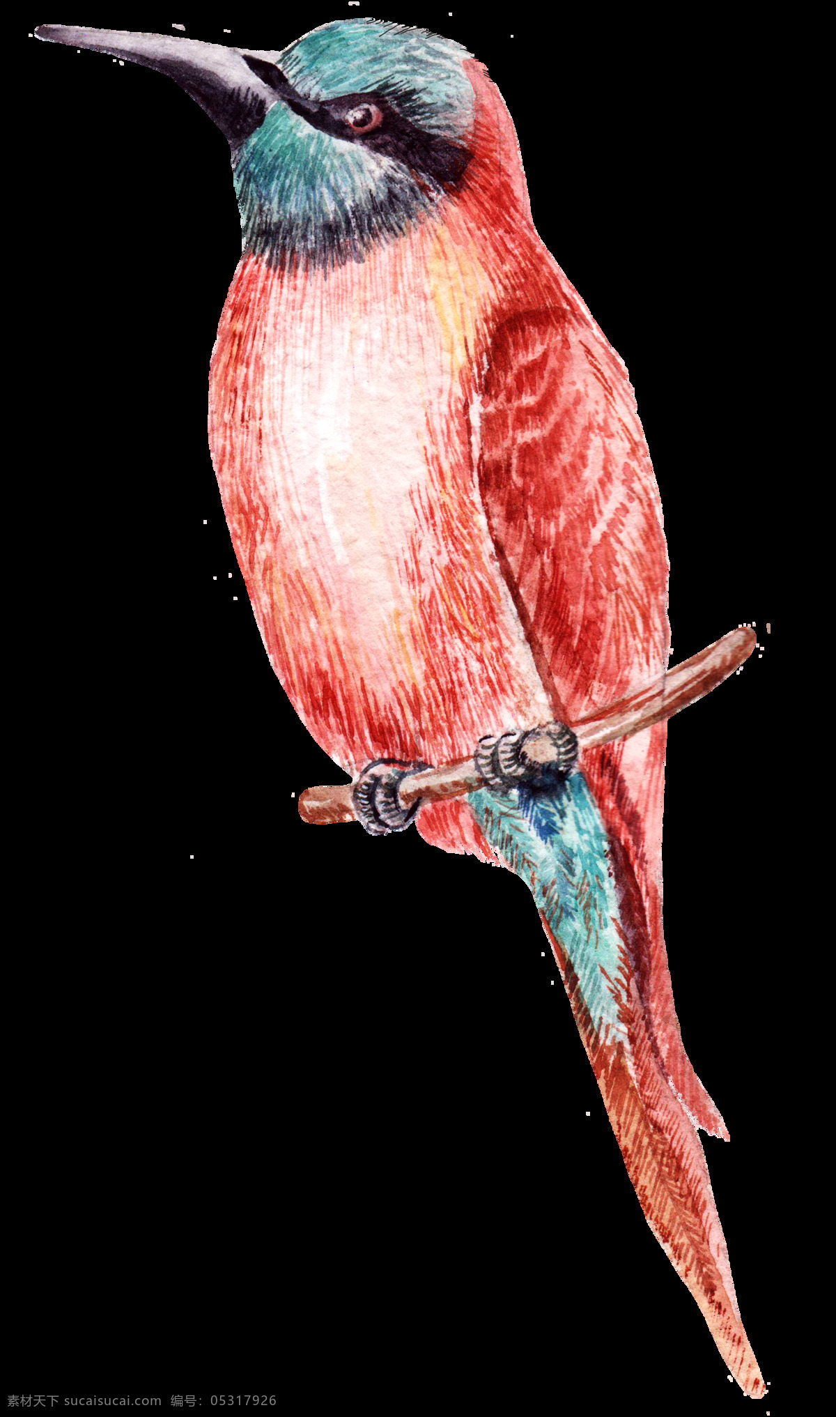 远方 小鸟 透明 逼真 红色 尖嘴 卡通 免扣素材 手绘 水彩 透明素材 眼神 站着 装饰图案
