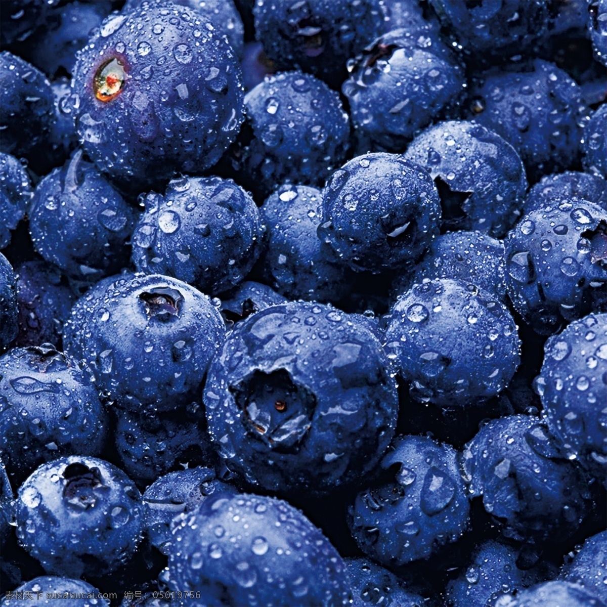 蓝莓吐司 蓝莓面包 蓝莓吐司面包 蓝莓夹心面包 水果类 分层