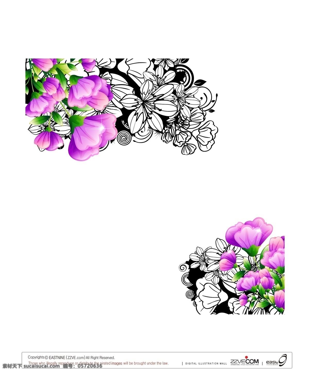 淡紫 康乃馨 矢量 母亲节 紫色 花纹花边