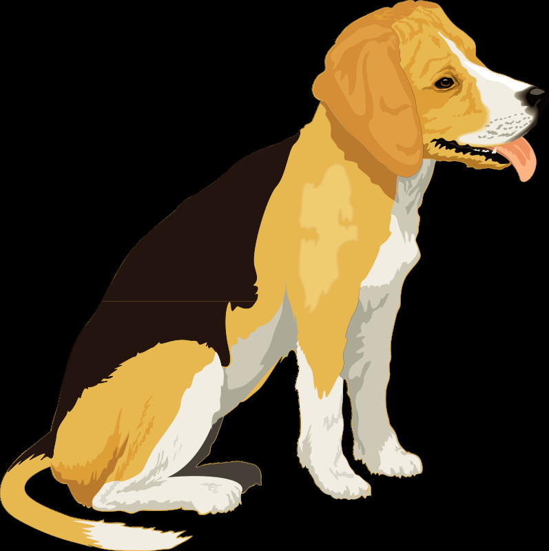小 猎犬 动物 狗 树皮 品种 人类 最好 朋友 马特 矢量图 其他矢量图