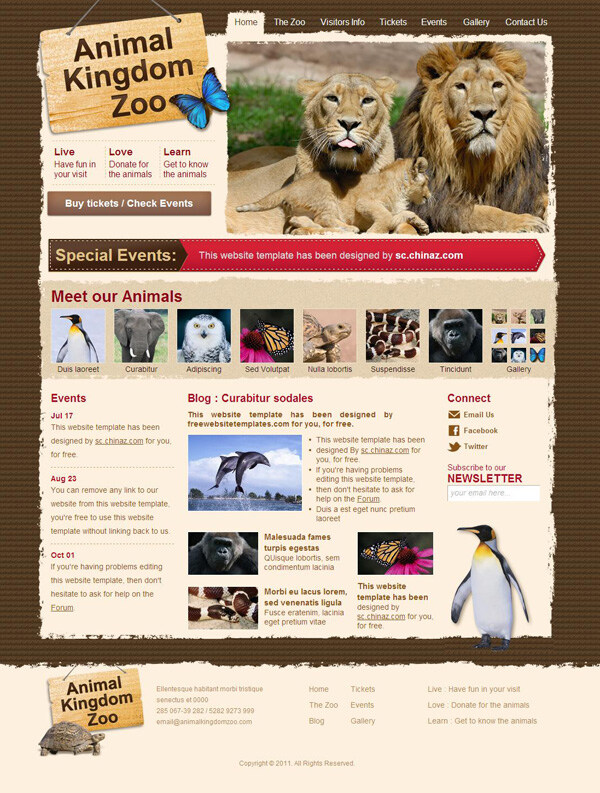 动物园 网站 模板 网页素材 网站模板 网页模板