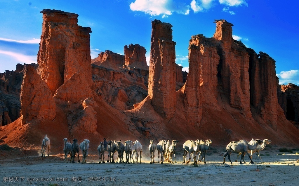 魔鬼城 雅丹 地貌 骆驼 自然景观 自然风景