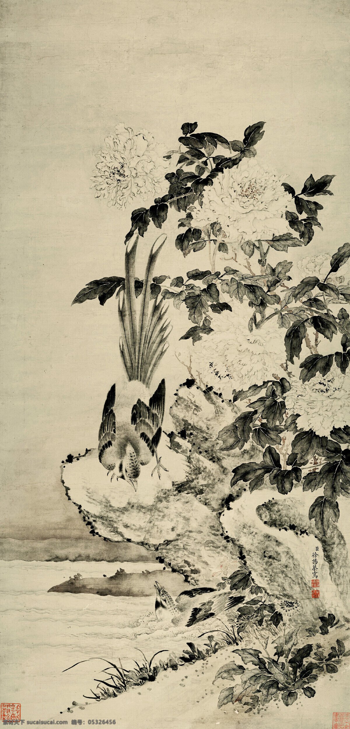 彩墨画 工笔画 国画艺术 花卉 绘画 绘画书法 牡丹花 牡丹山鹧图 中国画 清代国画 山鹧 石头 盛开 书法 印章 清代国画作品 文化艺术 家居装饰素材 雕刻 图案