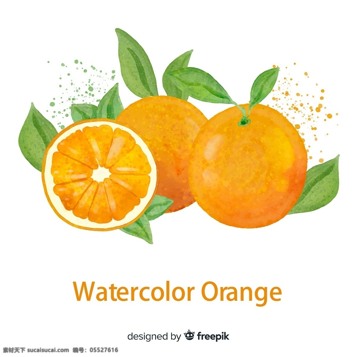 彩绘 新鲜 橙子 水果 矢量图 格式 矢量 高清图片