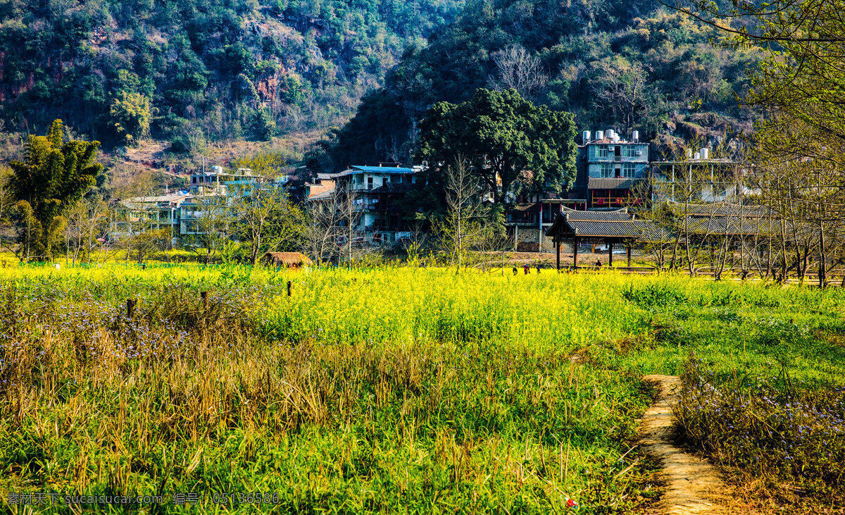 广西 桂林 世外桃源 风景