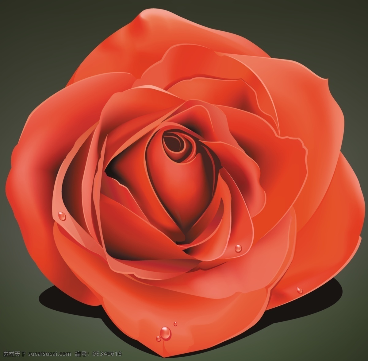 喷绘红玫瑰 水珠 分层图 玫瑰 手绘 高清 分层